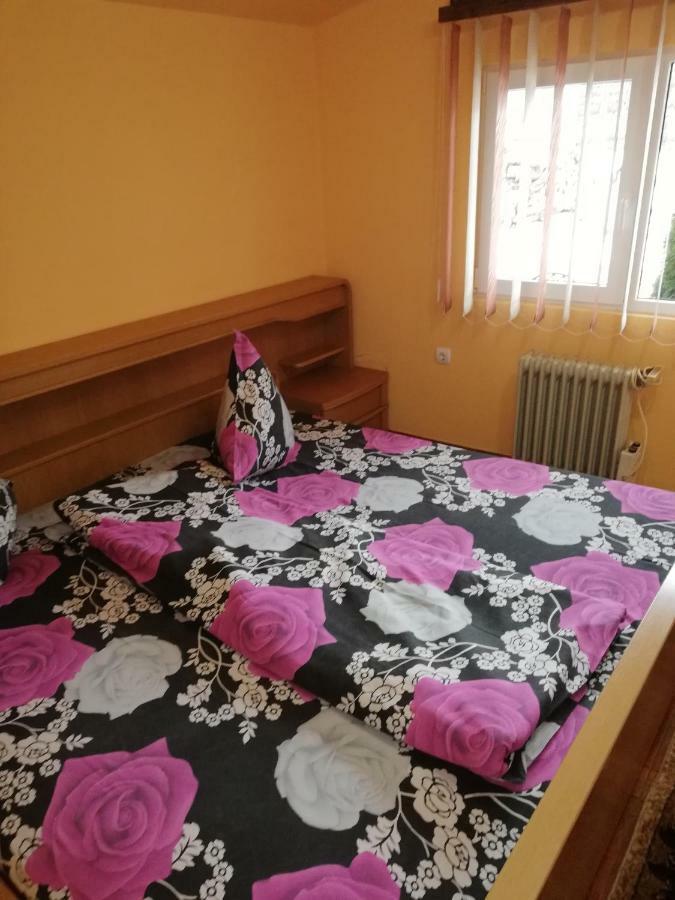 Pension, Camping & Biker Station Zur Deutschen Eiche Ciocanesti 외부 사진